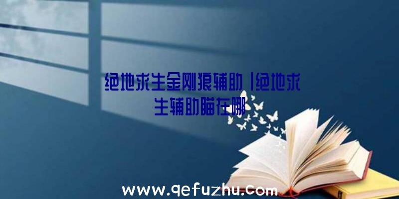 「绝地求生金刚狼辅助」|绝地求生辅助瞄在哪